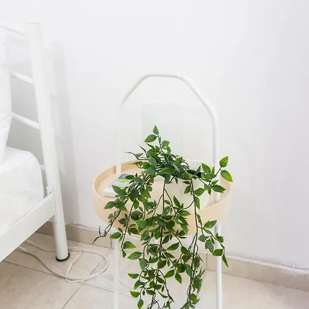 New With Backyard *